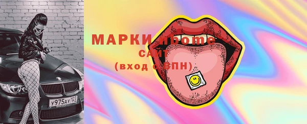 индика Вязьма
