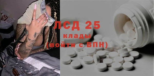 индика Вязьма