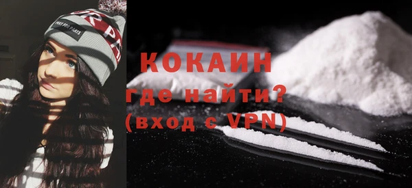 индика Вязьма