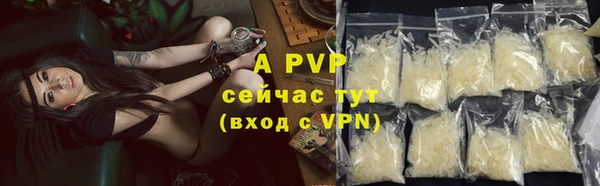 прущие грибы Вяземский