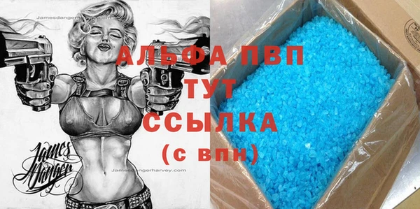 индика Вязьма