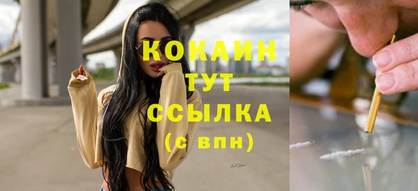прущие грибы Вяземский