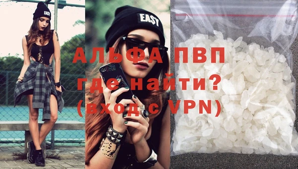 прущие грибы Вяземский