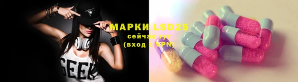 индика Вязьма