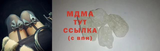 прущие грибы Вяземский