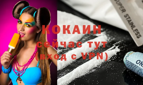 индика Вязьма
