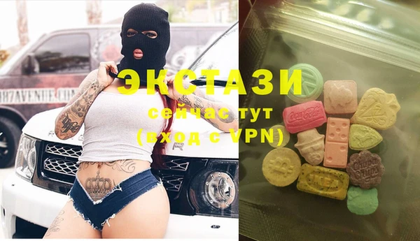 индика Вязьма