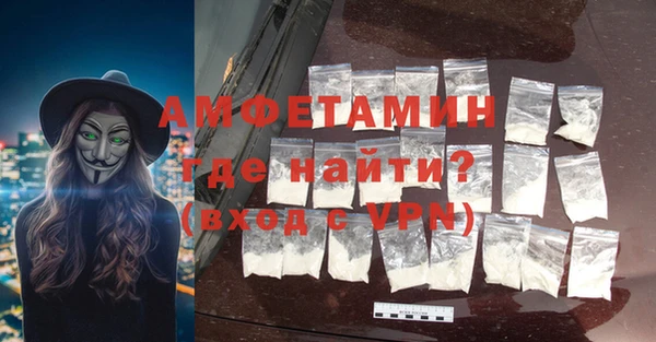 прущие грибы Вяземский