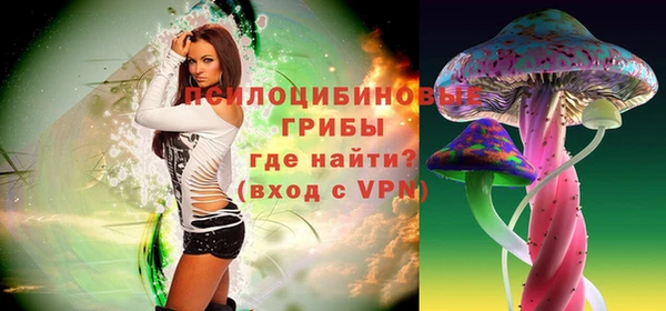 прущие грибы Вяземский