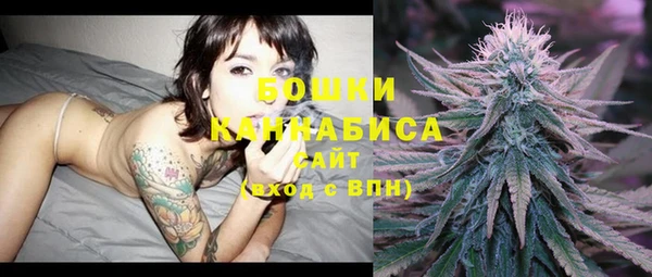 индика Вязьма