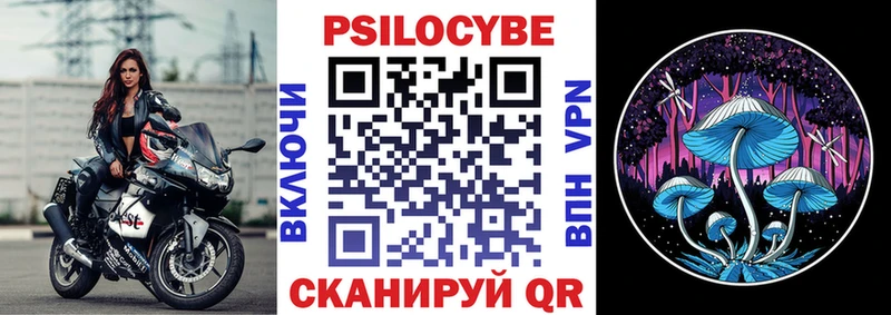 Псилоцибиновые грибы Cubensis  Купить где  Касли 