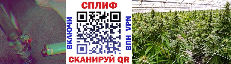 Конопля тримм  Купить закладки  Касли 